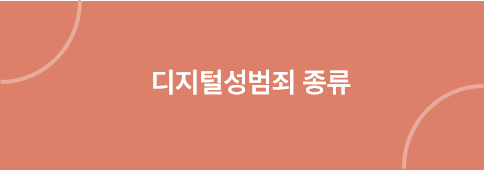 디지털성범죄 처벌