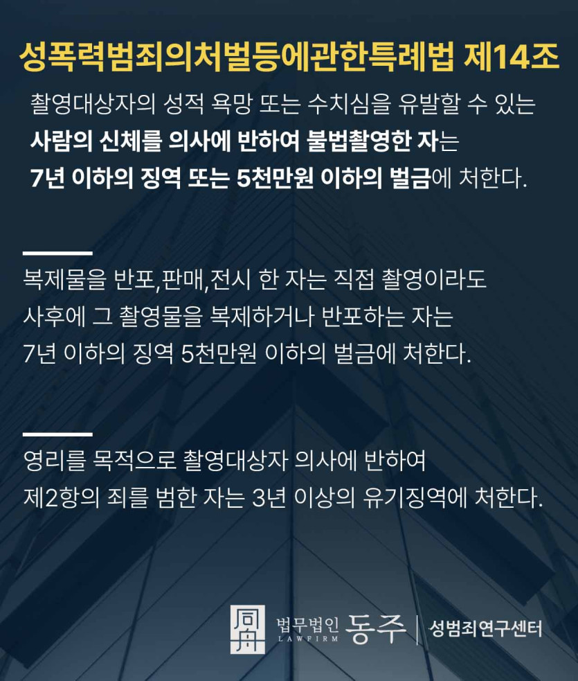 성폭력범죄의처벌등에관한특례법 제14조