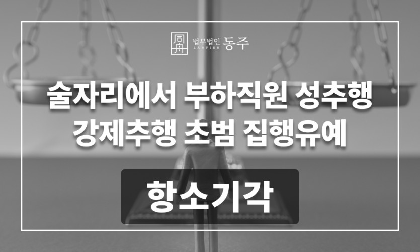 강제추행 초범 판결문