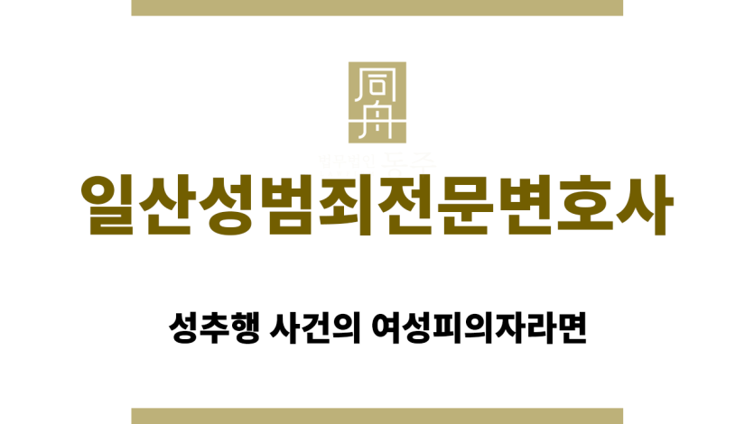 일산성범죄전문변호사