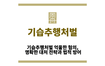 기습추행처벌