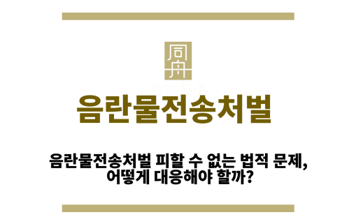 음란물전송처벌