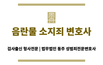 음란물 소지죄 변호사 상담 장면