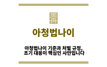 아청법나이