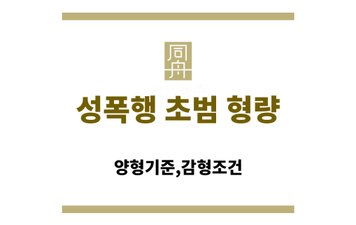 성폭행 초범 형량 결정 기준 도식