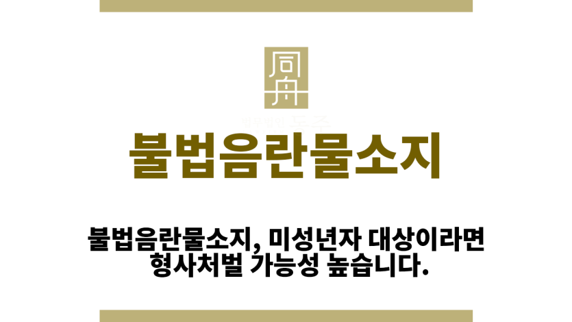 불법음란물소지