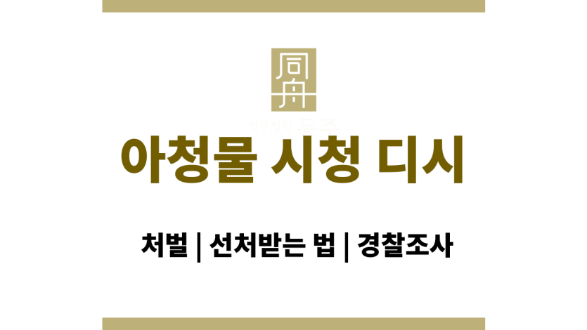 아청물 시청 디시