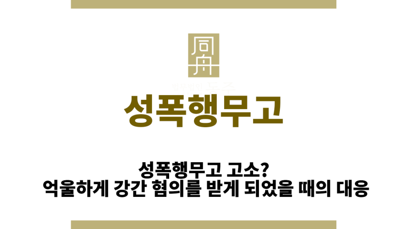 성폭행무고