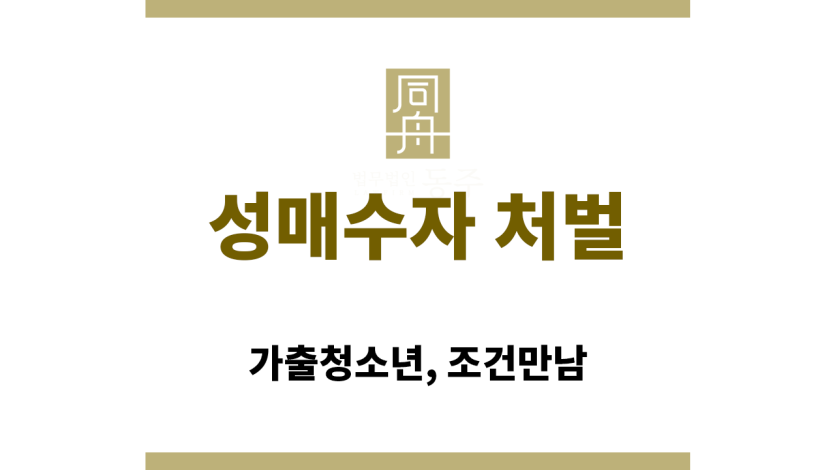 성매수자 처벌 관련 청소년성보호법 조항 요약 이미지