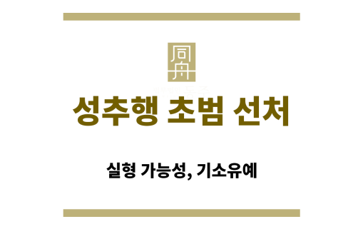 성추행 초범의 선처 가능성 관련 법적 기준 설명 이미지