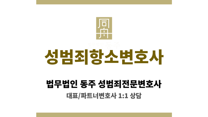 성범죄 항소 절차 및 주요 대응 전략 흐름도