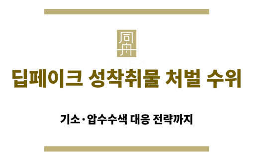딥페이크 성착취물 관련 법적 처벌과 수사 대응