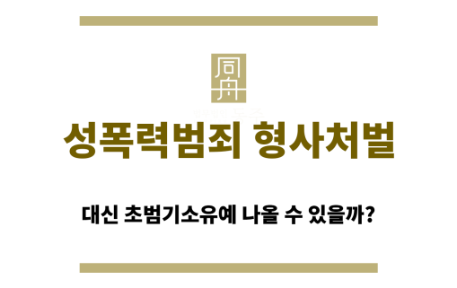 성폭력범죄 형사처벌