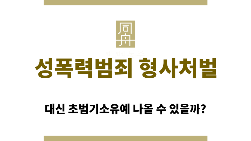 성폭력범죄 형사처벌