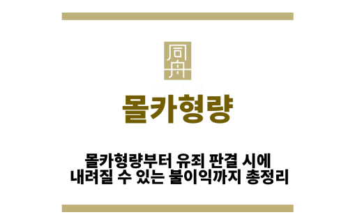 몰카형량