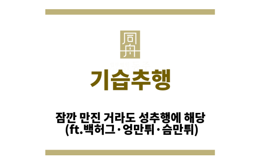 기습추행