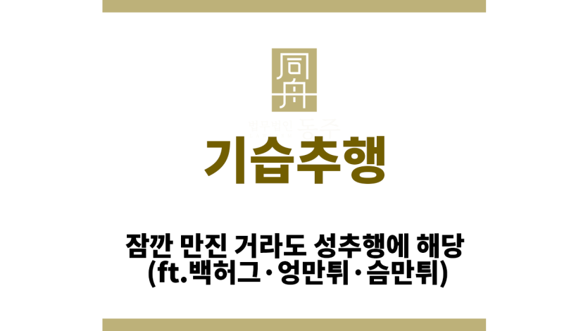 기습추행