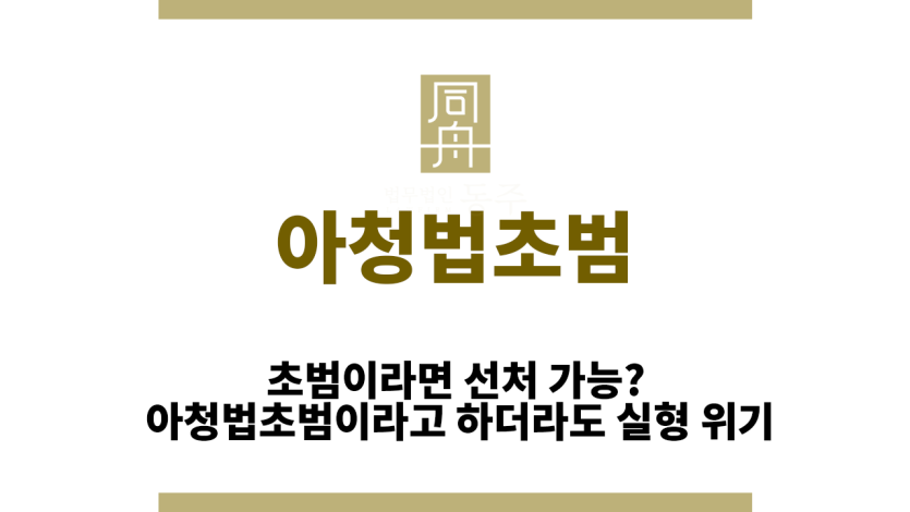 아청법초범