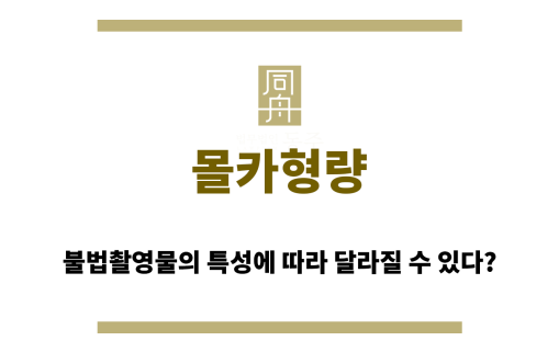 몰카형량