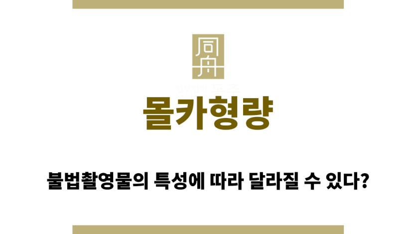몰카형량