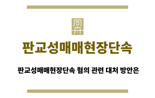 판교성매매현장단속