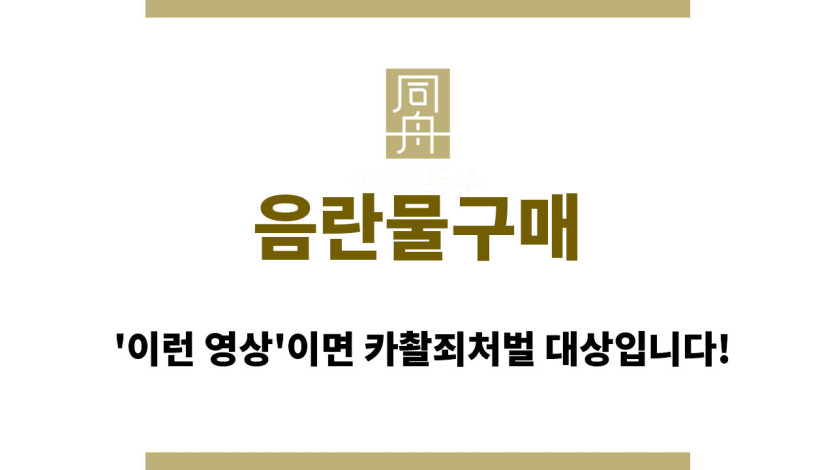 음란물구매
