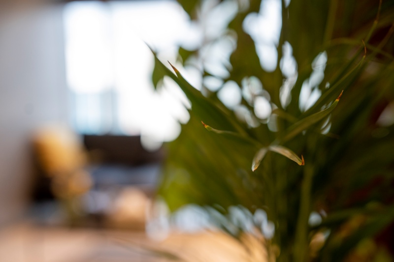 7c033cf446a999ce3e162af9299351ae_1764130238_7821.jpg 7c033cf446a999ce3e162af9299351ae_1764130238_7821.jpg