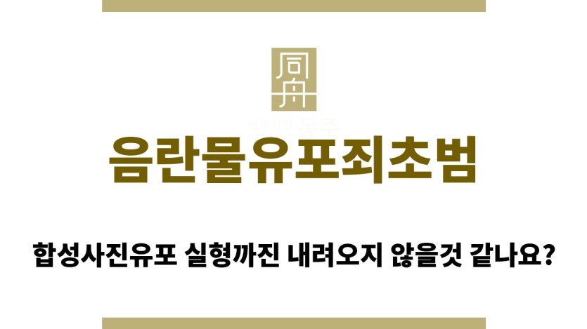 ＂음란물유포죄초범“