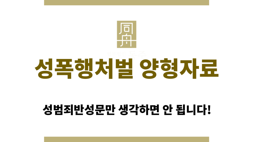 성폭행처벌 양형자료 준비 시 유의할 점