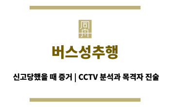 버스성추행 신고당했을 때 증거, CCTV 분석과 목격자 진술