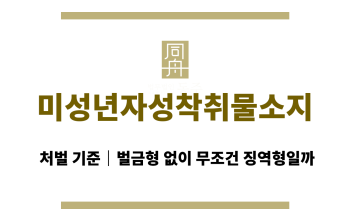 미성년자성착취물소지 처벌 기준｜벌금형 없이 무조건 징역형일까
